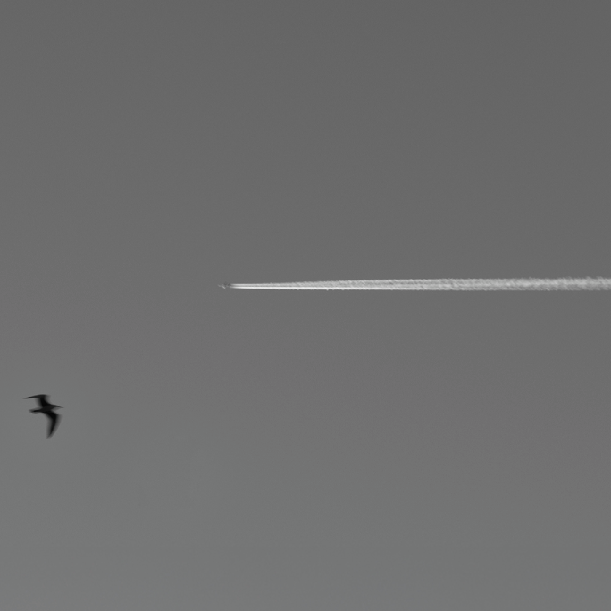 Biro-Group direction